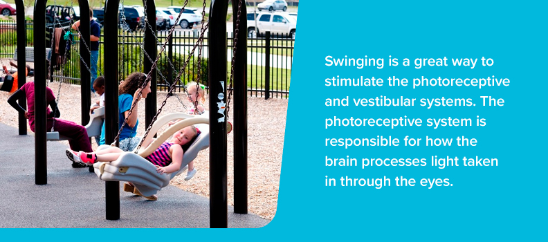 Swinging is a great way to stimulate the photoreceptive and vestibular systems. The photoreceptive system is responsible for how the brain processes light taken in through the eyes.
