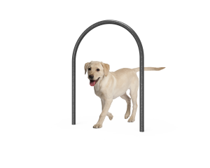 Dog Small Loop (LTDP01)