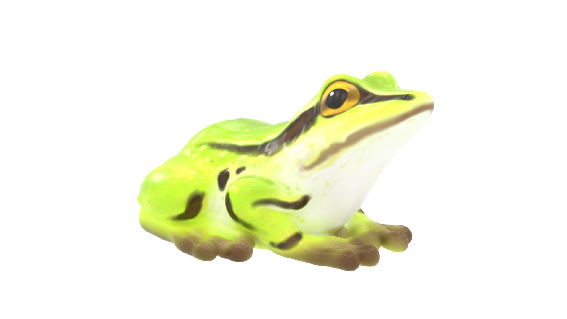 Frog Climber (LTTP2021M)