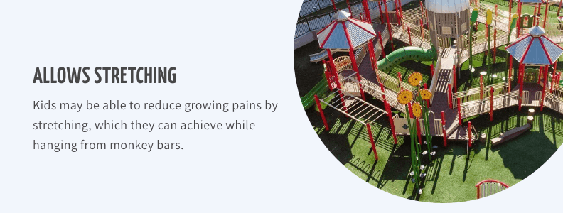 Why You Should Invest in Monkey Bars for Your Kids - Growplay