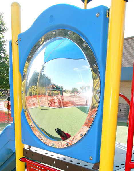 Bubble Mirror Panel (200007121)