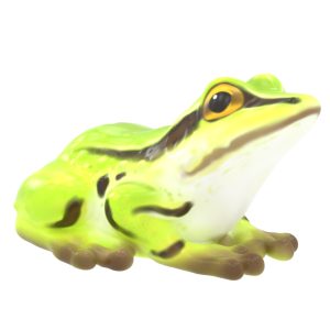 Frog Climber (LTTP2021M)