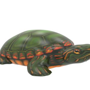 Tucson Turtle Climber (LTTP2020M)