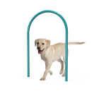 Dog Large Loop (LTDP02)