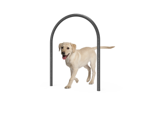 Dog Small Loop (LTDP01)