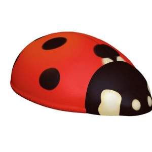 Ladybug Climber (LTTP2036M)